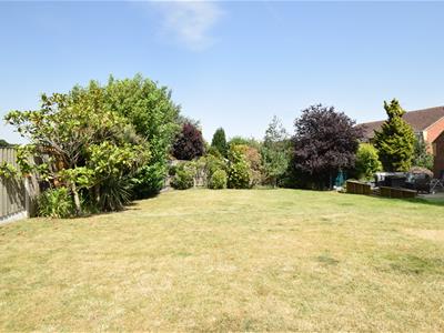 Picture 22